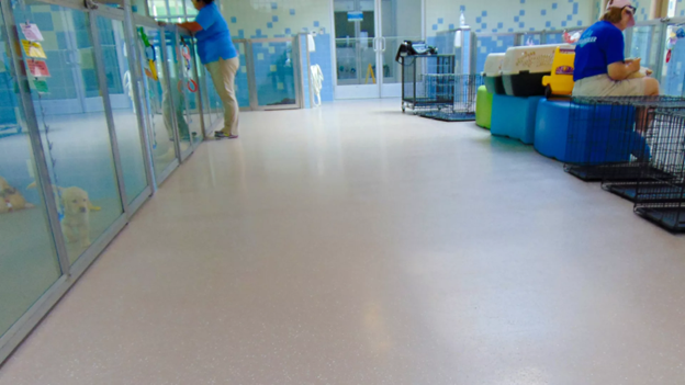 Animal and Veterinary Flooring - 5 Considerations Choosing Veterinary Flooring Do you need flooring that is both comfortable and durable enough to withstand the wear and tear of animals? Are you looking for a solution that provides your veterinary practice with long-lasting safety and hygiene. If so, consider animal and veterinary flooring. From rubber mats to anti-fatigue runners designed specifically for veterinary applications, this type of flooring offers numerous benefits to help everyone from pet owners to veterinarians. In this blog post, we will discuss why installing specialized animal care floors in your facility is beneficial as well as different types of options available. Benefits of Animal & Veterinary Flooring Animal and veterinary facilities require a flooring solution that is durable, safe, and easy to maintain. This is important not only for the comfort and well-being of the animals, but also for the safety of workers and visitors. By investing in high-quality animal and veterinary flooring, you can ensure that your facility meets all necessary standards and regulations, while also providing numerous benefits to your business and the animals in your care. Some of the main advantages of animal and veterinary flooring include: Durability Animal and veterinary facilities are subject to heavy wear and tear, including scratches from claws, spills and stains, and constant foot traffic. It is important to choose a flooring solution that can withstand these conditions and maintain its integrity for years to come. High-quality animal and veterinary flooring is designed to be durable and resistant to damage, making it a smart investment for any facility. Safety The safety of animals, workers, and visitors should always be the top priority in any animal or veterinary facility. Slippery floors can pose a serious hazard, especially when dealing with larger animals. Animal and veterinary flooring is specifically designed to be slip-resistant, reducing the risk of accidents and injuries. These floors are often seamless and easy to clean, minimizing the potential for bacteria growth and cross-contamination. Comfort Durability and safety are important considerations when choosing animal and veterinary flooring, comfort should not be overlooked. Animals spend a significant amount of time on the floor, and a comfortable surface can help improve their overall well-being. Veterinary flooring is often designed with shock-absorbing properties, providing a soft and supportive surface for animals to walk, stand, or lie down on. Hygiene Maintaining a clean and hygienic environment is crucial in animal and veterinary facilities to prevent the spread of diseases and infections. Animal and veterinary flooring is designed to be easy to clean and disinfect, helping to maintain a high level of hygiene in the facility. These floors are often resistant to moisture, chemicals, and stains, making them an ideal choice for facilities that require frequent cleaning. Versatility Animal and veterinary flooring comes in a variety of types and materials, allowing you to choose the best option for your specific facility. Rubber and vinyl to epoxy and polyurethane floors, there is a wide selection of flooring solutions available to meet your needs. This versatility allows you to choose a floor that not only provides the necessary functional benefits but also fits with the aesthetic of your facility. Different Types of Animal & Veterinary Flooring There are several types of animal and veterinary flooring available, each with their own unique features and benefits. Some of the most popular options include: Epoxy Flooring Epoxy flooring is a top choice for many animal care and veterinary facilities due to its durability, ease of maintenance, and resistance to chemicals and bacteria. It consists of a two-part resinous system that is applied as a liquid and then cures to form a hard, plastic-like surface. This seamless nature of epoxy flooring makes it easy to clean and disinfect, contributing to a sanitary environment. Its solid, non-porous surface can withstand heavy traffic and the daily wear and tear of an animal care setting. Epoxy is relatively comfortable for animals to walk on and can be customized with different colors and patterns to enhance your facility's aesthetic. Its high-impact resistance reduces the risk of accidental damage, making it a reliable and cost-effective choice for animal and veterinary flooring. Cementitious Pump Screeds Cementitious Pump Screeds are another popular choice for animal and veterinary flooring. This kind of flooring is composed of a blend of cement and aggregate materials, providing a robust and durable surface perfect for high-traffic spaces. The key advantage of Cementitious Pump Screeds is their ability to be pumped over large areas quickly, making them an ideal choice for large-scale animal care facilities. It offers exceptional resilience against heavy impacts, scratches, and the gradual wear and tear of daily use. Cementitious Pump Screeds are also resistant to moisture, ensuring they remain hygienic and easy to clean, thereby reducing the risk of bacterial growth and disease spread, crucial aspects in an animal care environment. Moreover, it can be treated to provide anti-slip properties, enhancing safety for both animals and staff. With the option to customize color and finish, these screeds can be tailored to suit the aesthetic of any veterinary facility. Epoxy Floor Coatings Epoxy floor coatings are a popular solution for animal and veterinary flooring due to their exceptional durability, chemical resistance, and ease of maintenance. These coatings consist of an epoxy resin and a hardening agent mixed to form a tight, durable bond with the underlying flooring. This creates a robust, seamless surface that can withstand the heavy foot traffic, scratches, and spills that are common in animal and veterinary settings. Moreover, epoxy floor coatings are non-porous, which prevents moisture from seeping into the floor and creating a breeding ground for bacteria and other pathogens. This makes them easy to clean and sanitize, promoting a healthy and hygienic environment for both animals and staff. The high gloss finish of epoxy floor coatings not only enhances the aesthetic of the facility but also improves visibility by reflecting light. These coatings can be customized with different colors and patterns to match the overall design of the facility while also incorporating safety features such as slip-resistant textures. Overall, epoxy floor coatings offer a versatile, durable, and aesthetically pleasing solution for animal and veterinary flooring. Tips for Maintaining Your Animal & Veterinary Flooring Proper maintenance is crucial for keeping your animal and veterinary flooring in top condition. Some tips to help you maintain your floors include: Regular cleaning: Regularly clean your floors with a non-abrasive cleaner to remove any dirt, spills, or debris. Avoid using harsh chemicals that could damage the floor. Prompt repairs: Stains, scratches, and other damage should be repaired as soon as possible to prevent further deterioration and maintain the integrity of the floor. Professional maintenance: Consider hiring a professional cleaning service to periodically deep clean and maintain your flooring. This can help extend its lifespan and keep it looking like new. Follow manufacturer's instructions: Different types of animal and veterinary flooring may have specific maintenance requirements, so be sure to follow the manufacturer's instructions for optimal results. Conclusion Animal and veterinary flooring plays a crucial role in creating a safe, comfortable, and hygienic environment for animals and workers. When selecting a flooring solution, consider factors such as durability, safety, comfort, hygiene, and versatility. Regular maintenance is also important to keep your floors in good condition and ensure their longevity. With the right flooring, you can create a functional and welcoming space for both animals and humans in your facility. So, it's worth investing in high-quality animal and veterinary flooring for the long-term benefits it provides. FAQs How often should animal and veterinary flooring be replaced? The lifespan of animal and veterinary flooring will vary depending on the type of flooring, level of use, and maintenance. However, with proper care and maintenance, high-quality floors can last for many years. Are there any eco-friendly options for animal and veterinary flooring? Yes, there are eco-friendly flooring options available for animal and veterinary facilities. These include sustainable materials such as recycled rubber and vinyl, as well as natural alternatives like cork and bamboo. Can animal and veterinary flooring be installed over existing floors? In most cases, it is recommended to remove the existing flooring before installing new animal and veterinary flooring. This ensures a smooth and level surface for the new floor and helps prevent any issues with adhesion or durability. Overall, choosing the right animal and veterinary flooring is essential for creating a safe, comfortable, and hygienic environment for both animals and staff. By considering factors such as durability, slip-resistance, and ease of maintenance, you can select a flooring solution that meets the specific needs of your facility. And with proper care and maintenance, your animal and veterinary floors can last for many years to come.